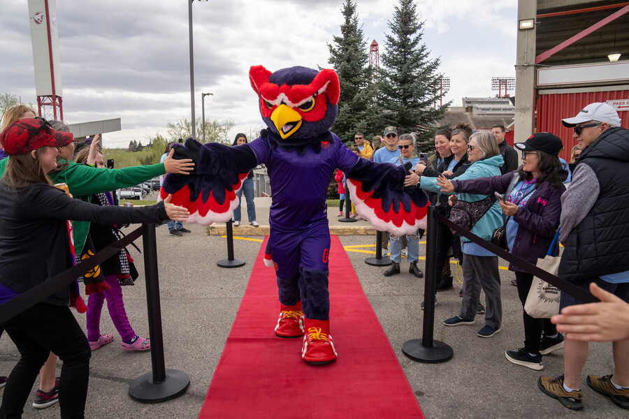 mascot-red-carpet-small