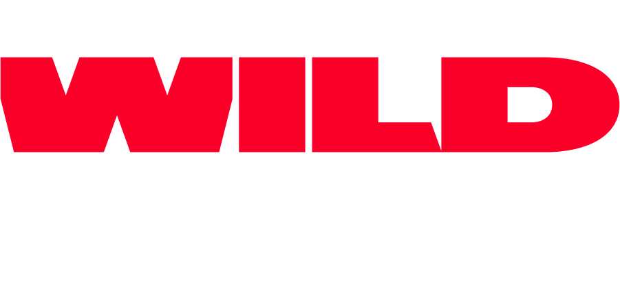 wild-journey-logo-temp
